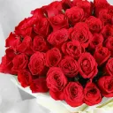 majestic-50-red-roses-bouquet_2.webp