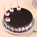 enthralling-black-forest-delight-aa.webp